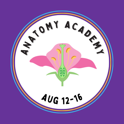 Summer Camp: Anatomy Academy Aug 12-16