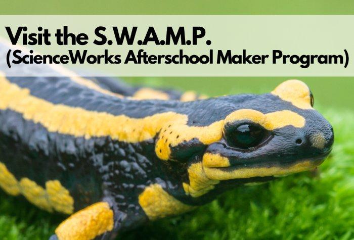 SWAMP Salamander - join the scienceworks afterschool maker program