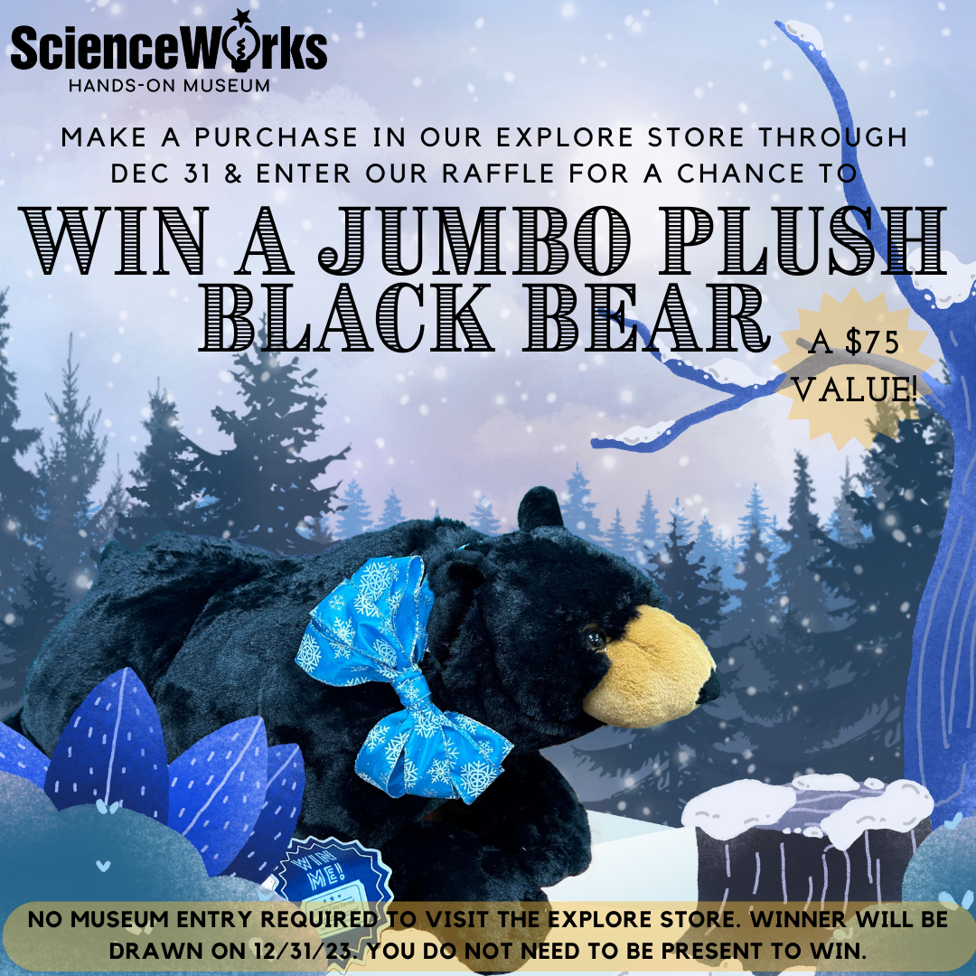 Win a Jumbo Plush Black Bear
