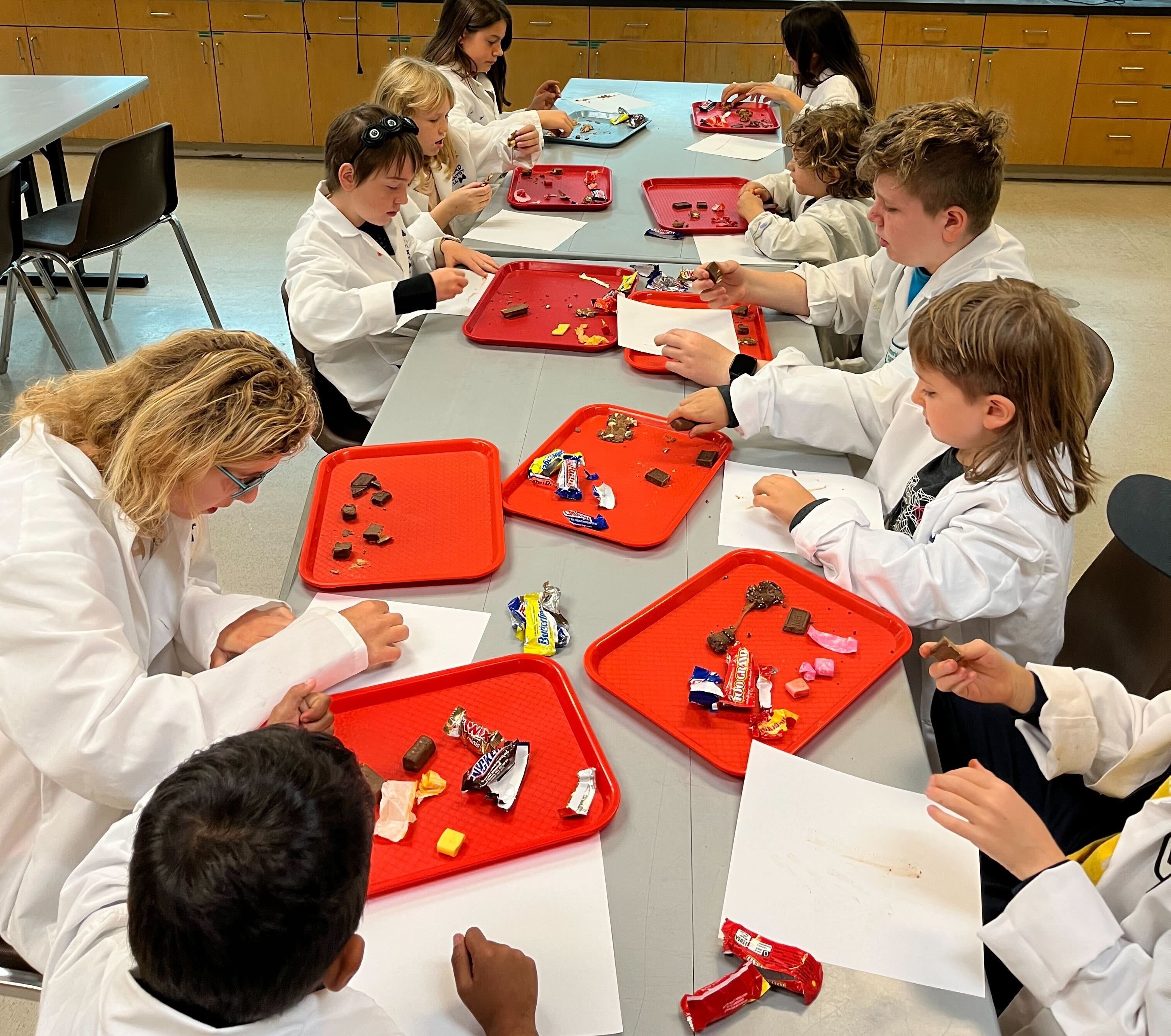 Students dissecting candy at ScienceWorks camp