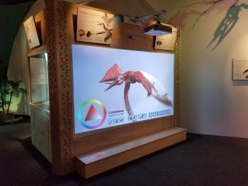 Pterosaurs Gallery for Exhibits #10